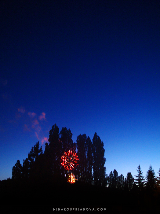 fireworks 7 700 px with url.jpg