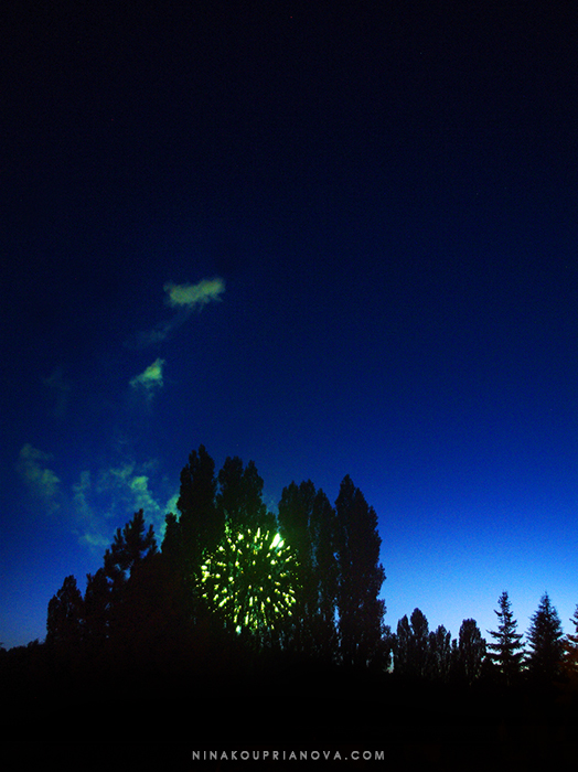 fireworks 10 700 px with url.jpg