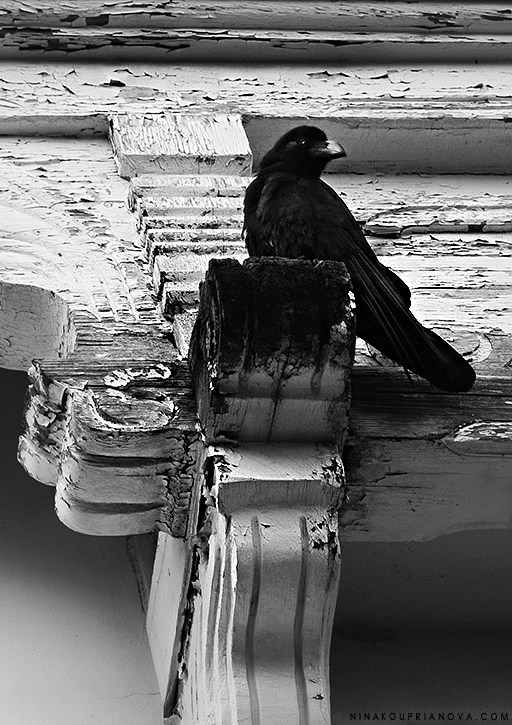 raven hakodate russian consular building vertical bw 725 px with url.jpg