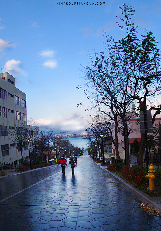 hakodate after the rain vertical 750 px with url.jpg