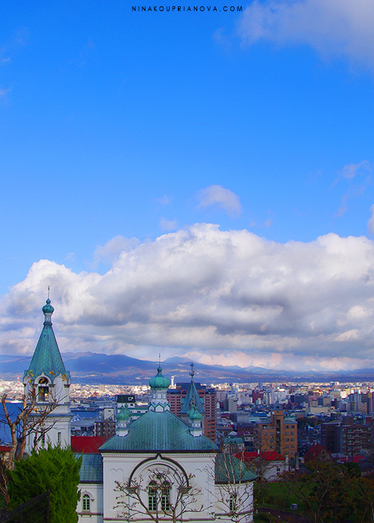 hakodate cityscape cropped 750 px with url.jpg