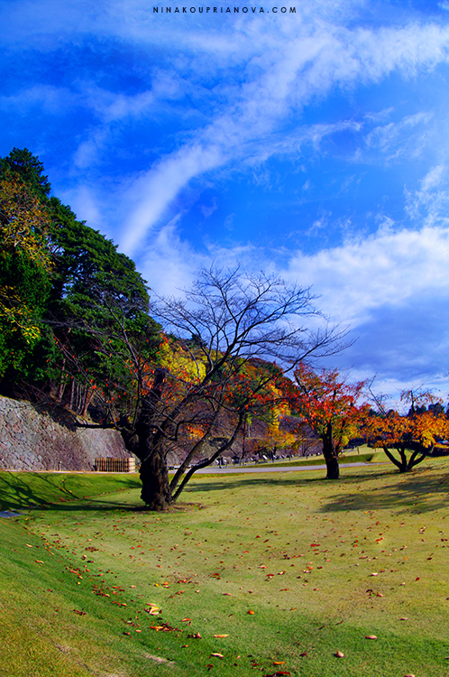 kanazawa castle wall 750 px with url.jpg