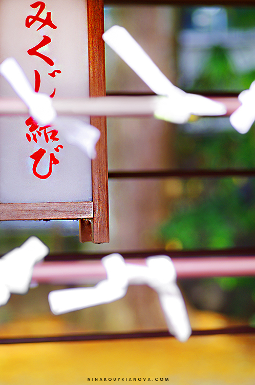 omikuji formatted 750 px with url.jpg