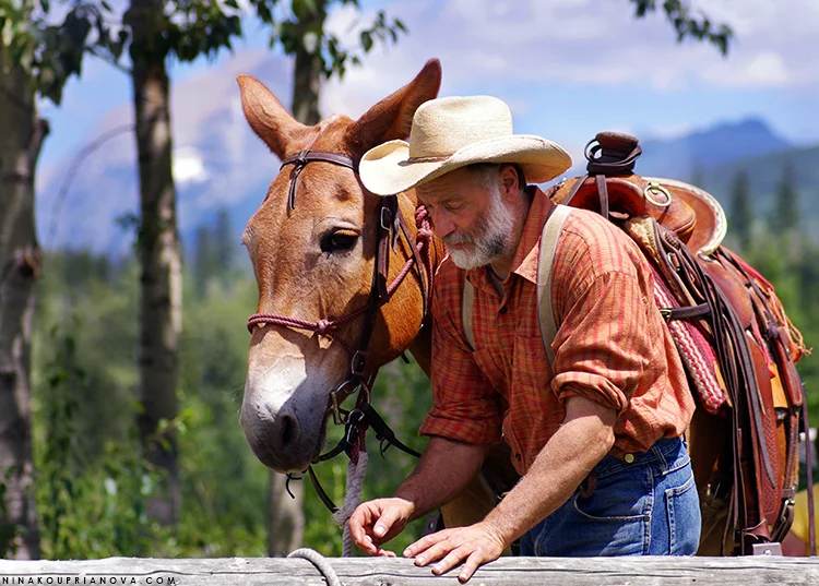 mule and man 750 px with url.jpg
