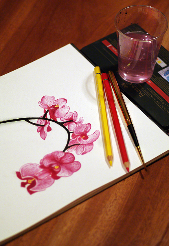 orchids painting 1 850 px.jpg