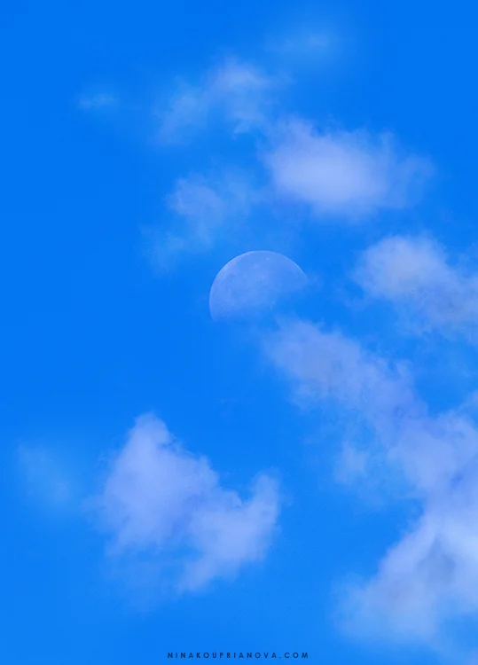 moon at noon 2 750 px with url.jpg