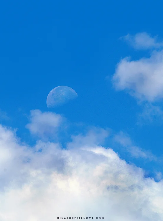 moon at noon 1 750 px with url.jpg