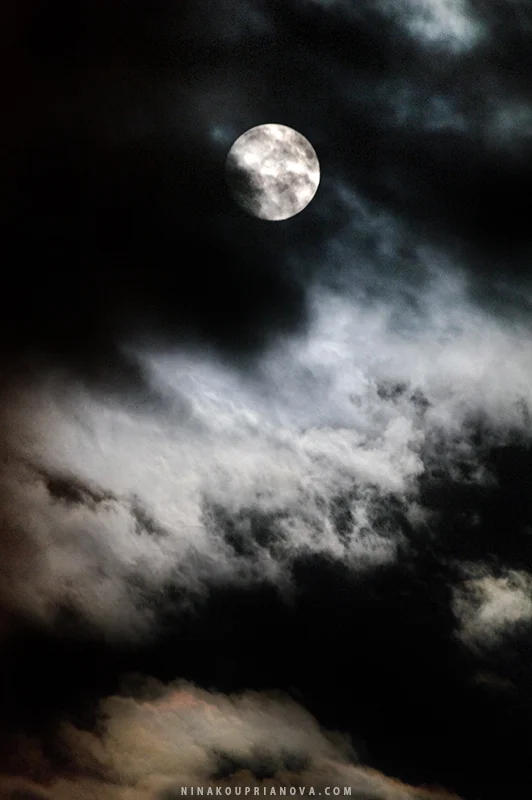 moon aug 19 e 800 px url.jpg