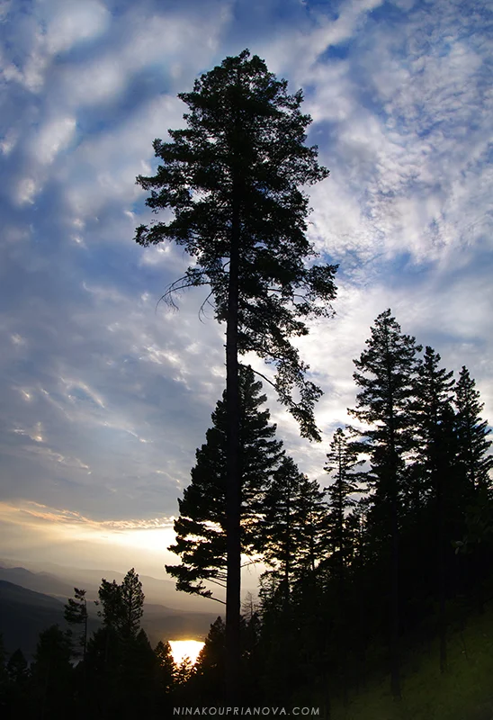 sunset sep 2 lake url.jpg