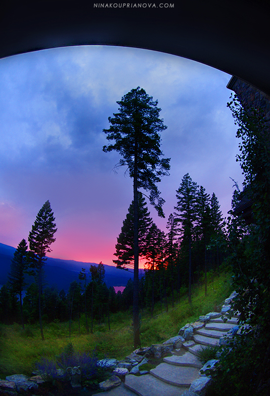 sunset with steps 800 px url.jpg