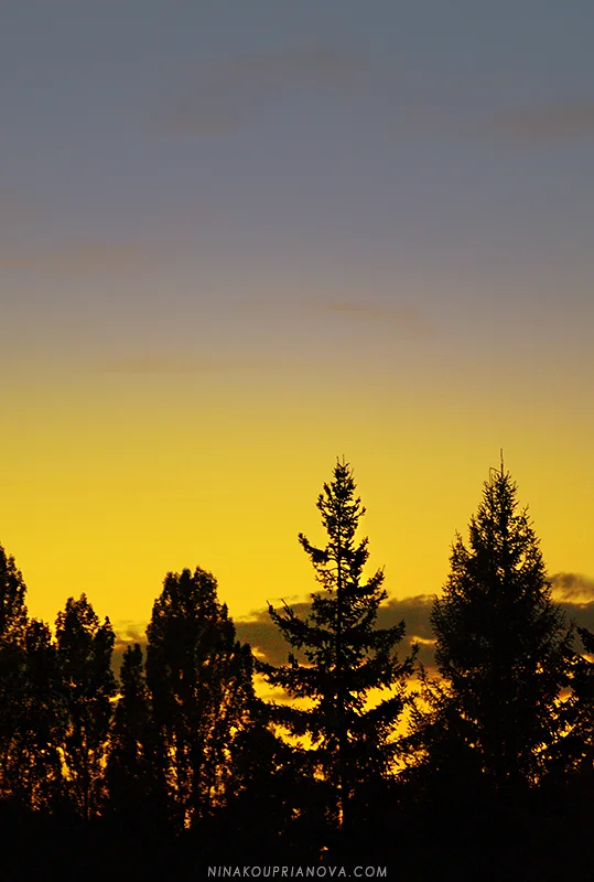 sunset sep 13 c 800 px url.jpg