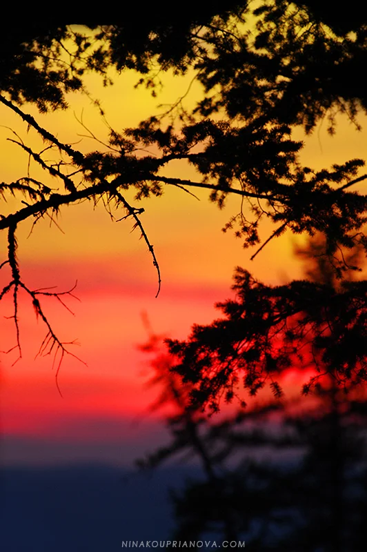 sunset watercolor 800 px url.jpg