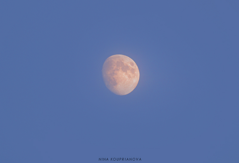 moon closeup oct 15 800 px url.jpg