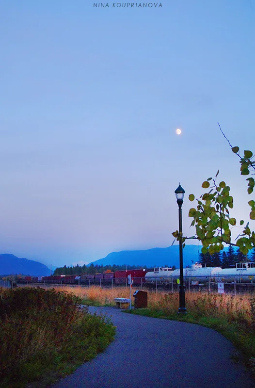 moon over street lamp v2 800 px url.jpg
