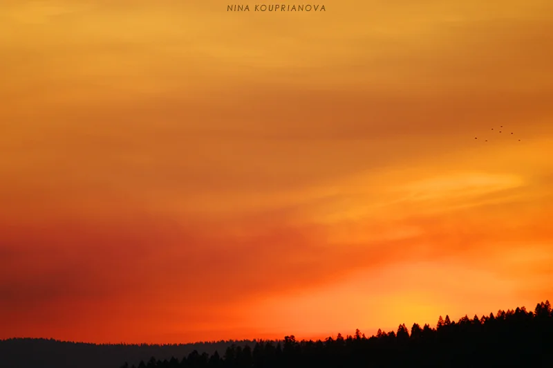 sunset october 15 b 800 px url.jpg