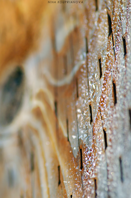 frost on wood 800 px with url.jpg