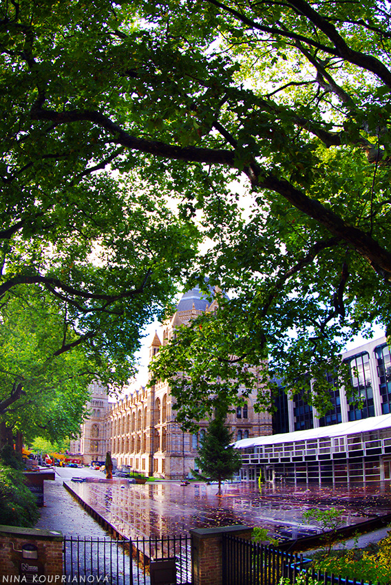 london after rain 3 850 px url.jpg