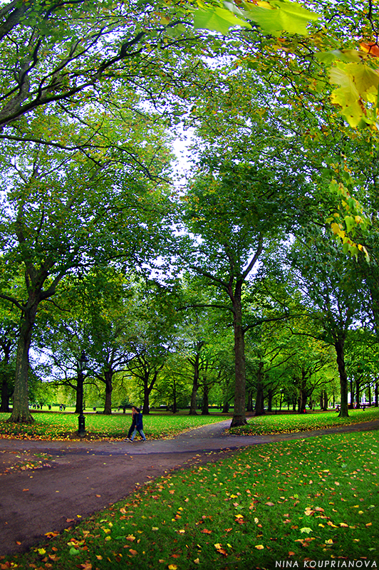 london green park 1 800 px url.jpg