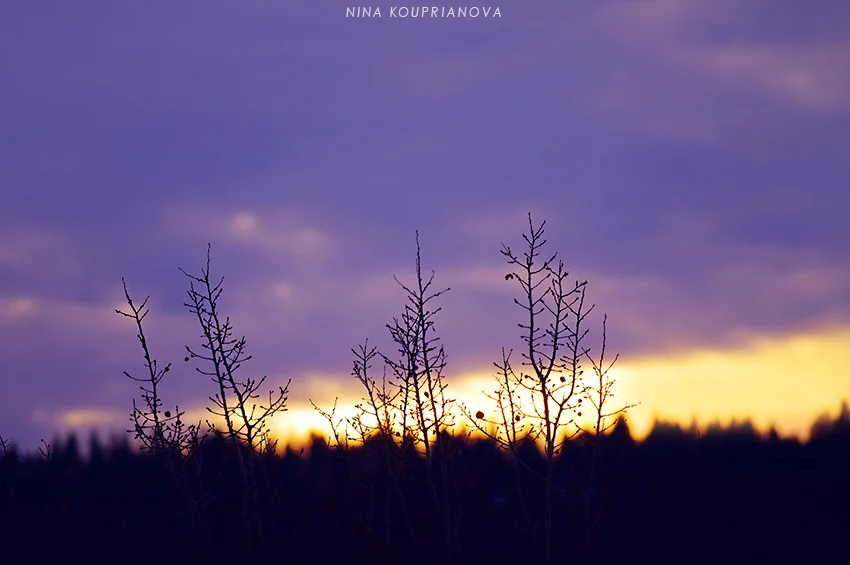 sunset nov 9 b 850 px url.jpg