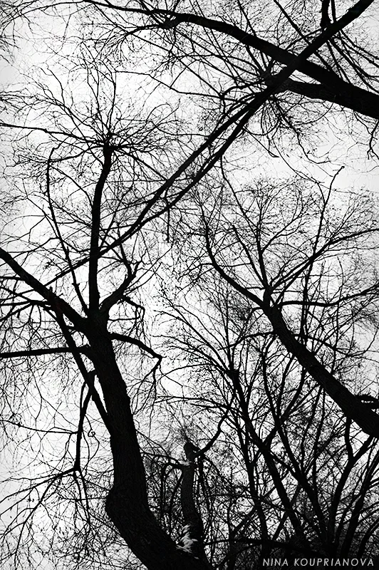 ents autumn 1 800 px url.jpg