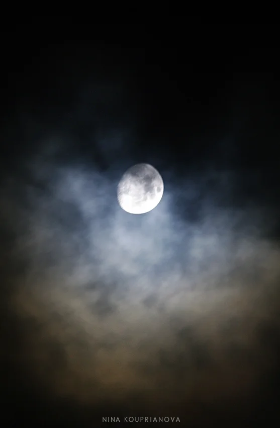 moon nov 13 850 px url.jpg