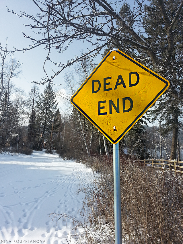 frozen 1 850 px url v2.jpg