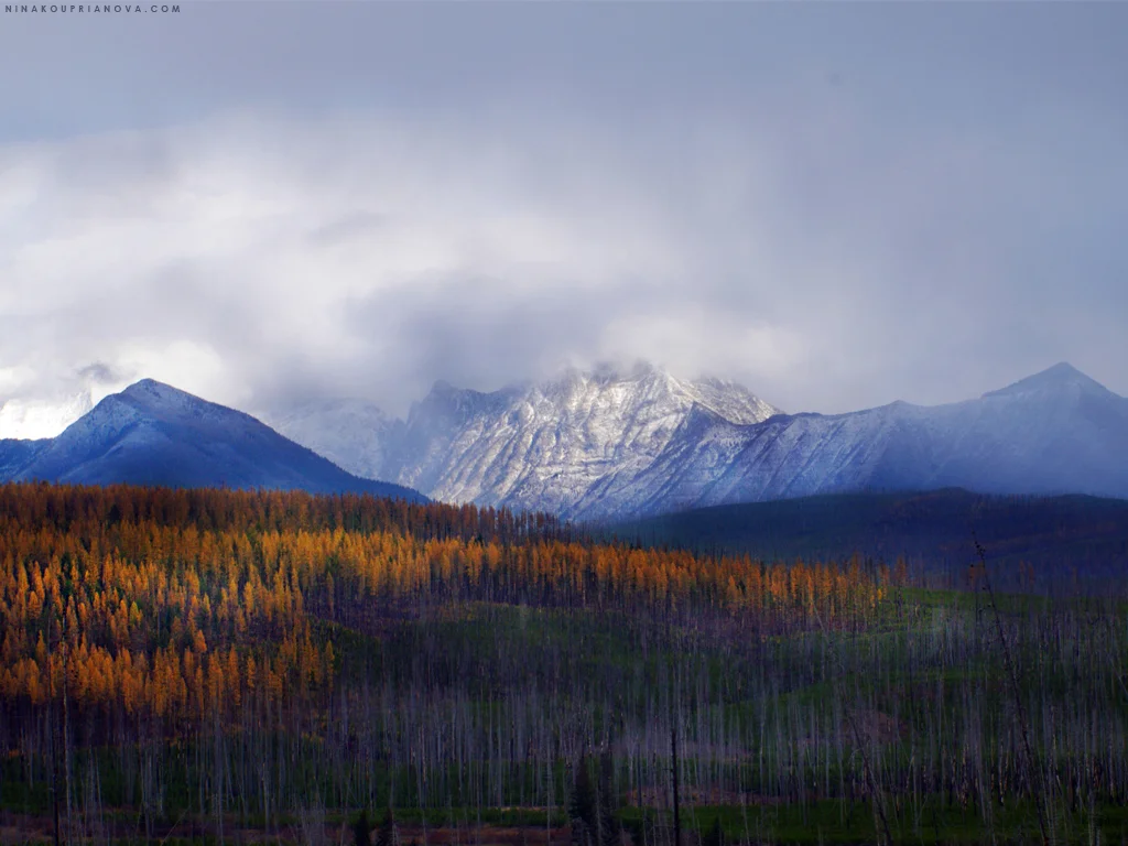 1024x768 autumn peaks with url.jpg