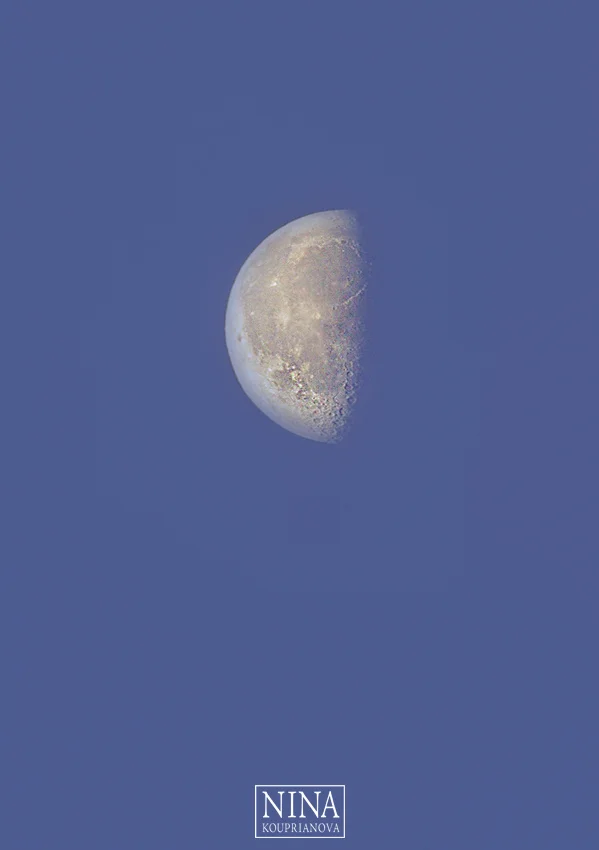moon morning dec 24 a 850 px url.jpg