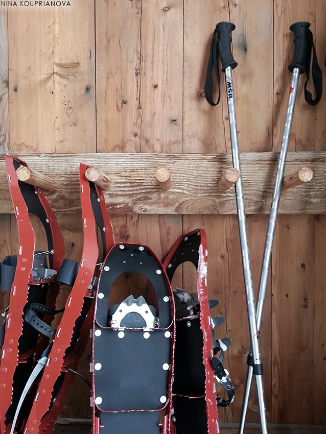 snow shoes 850 px url.jpg