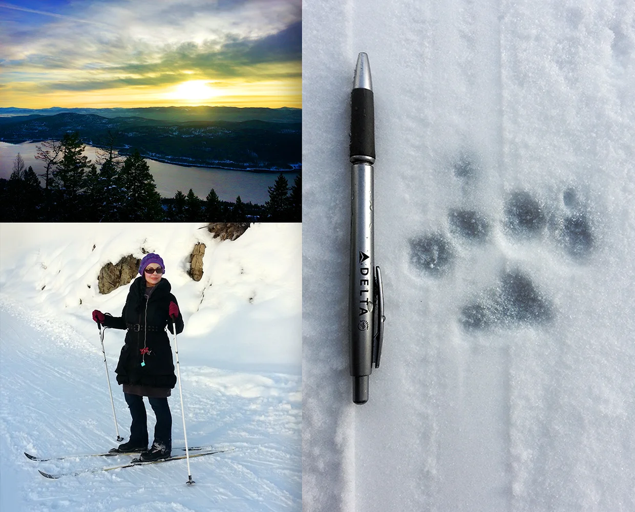 ski combined 1000 px.jpg