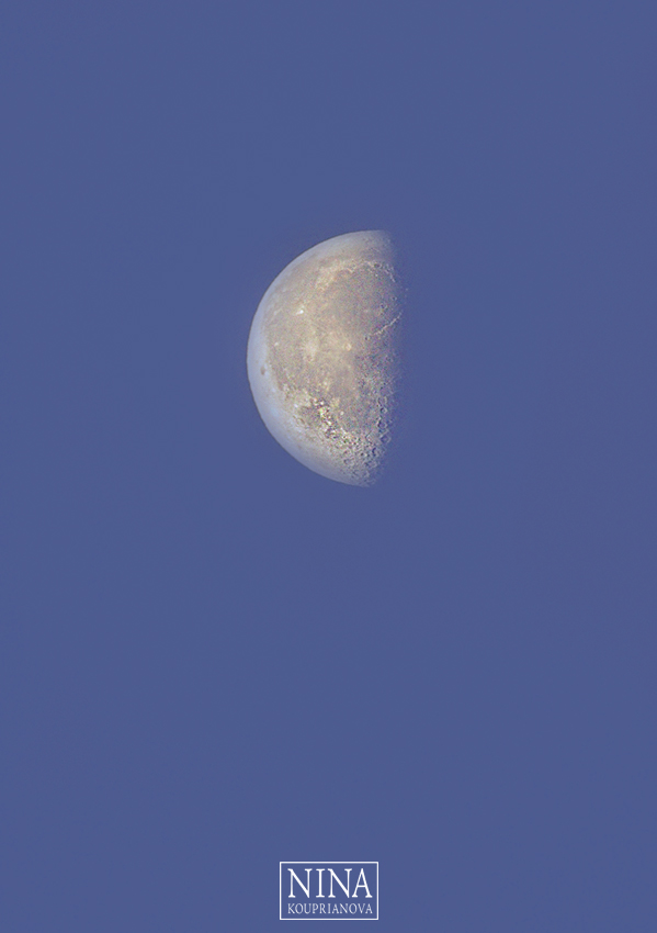 moon morning dec 24 a 850 px url.jpg