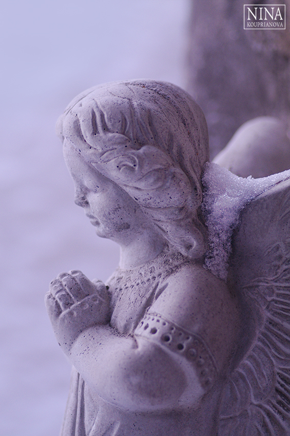 angel morning 1 850 px url.jpg