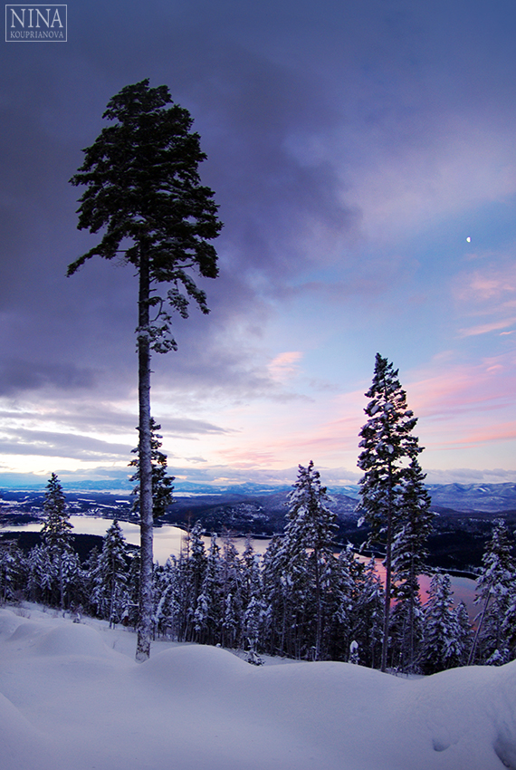morning landscape 4 850 px url.jpg