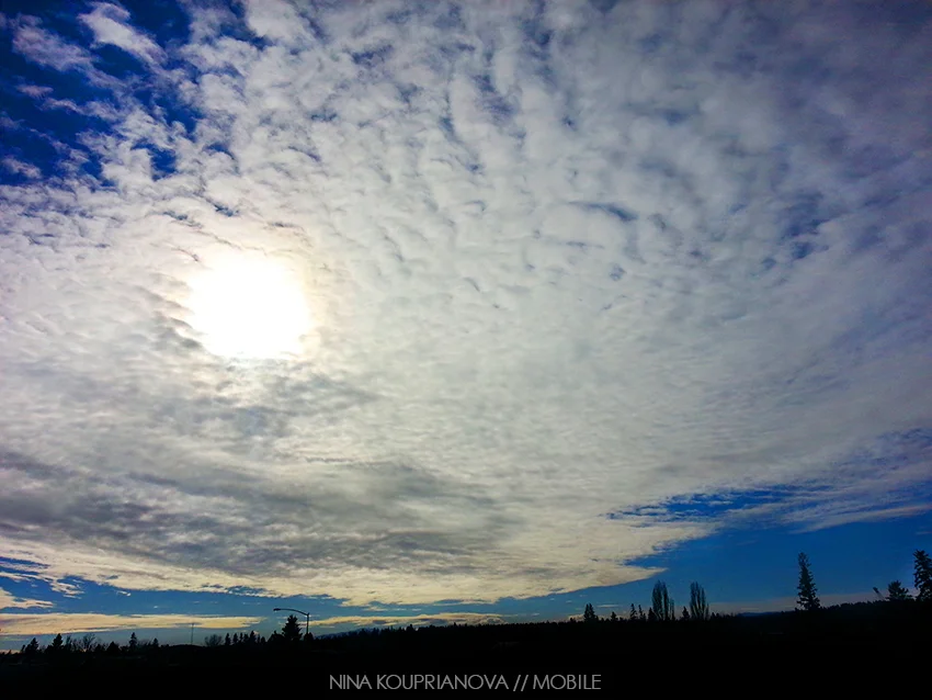 20140127_122427 850 px.jpg