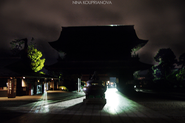 zenko-ji temple at night 600px url.jpg