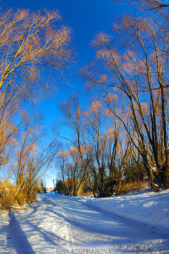 cold walk 2 850 px url.jpg