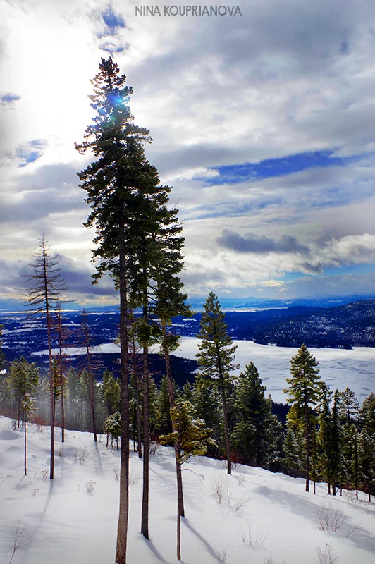 mountain winter gray 3 800 px url.jpg