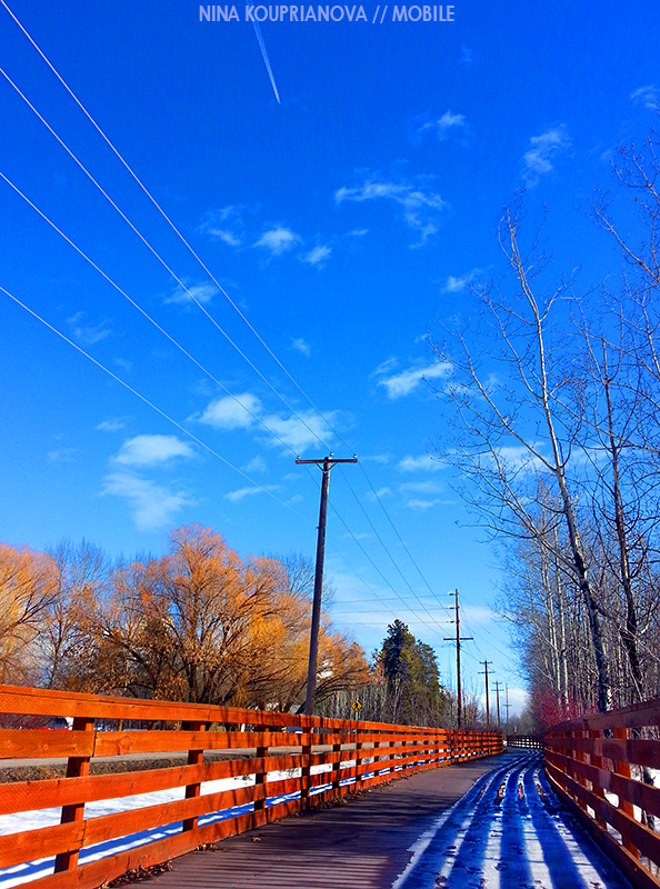 20140311_134918 800 px url.jpg