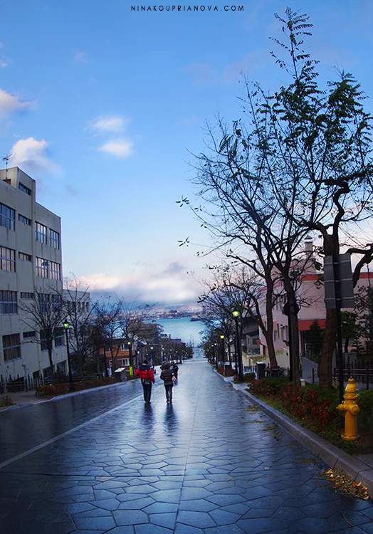 hakodate after the rain vertical 750 px with url.jpg