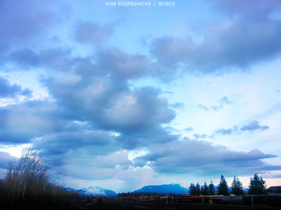 20140326_195019 900 px url.jpg