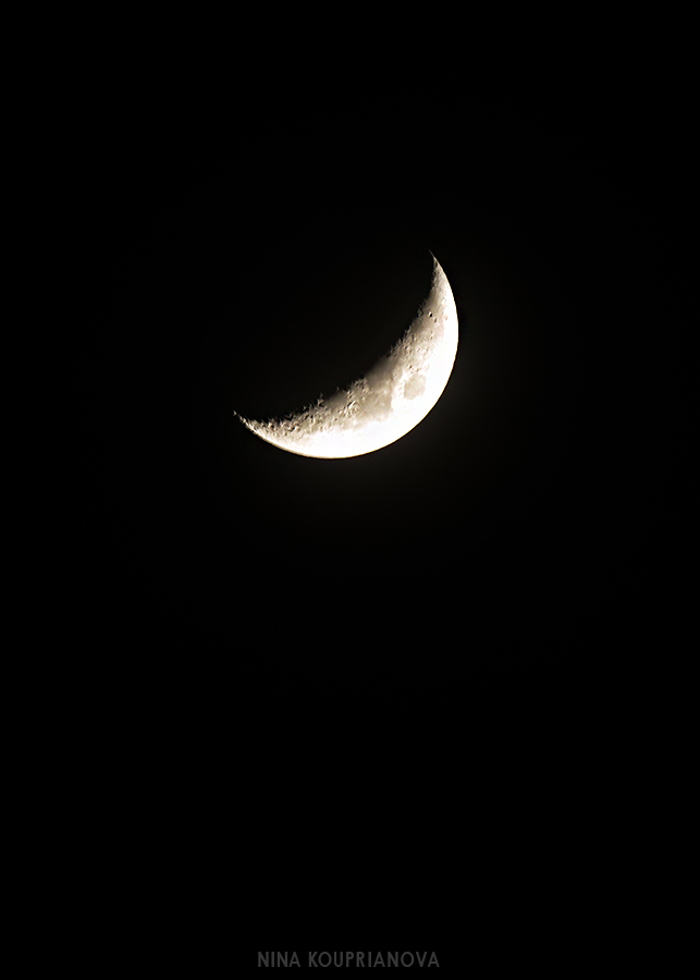 tokyo moon crescent 900 px u rl.jpg