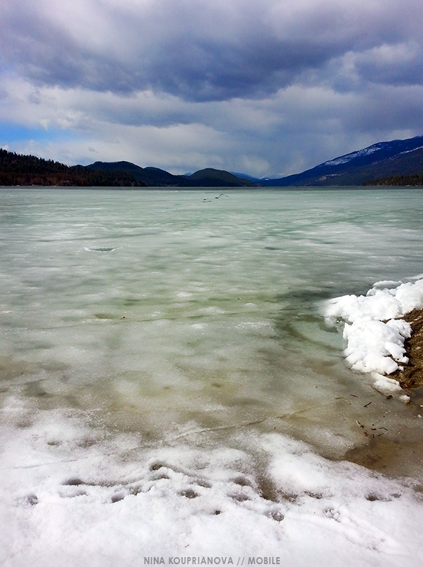 20140406_152218 800 px url.jpg