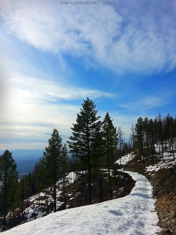 20140414_181747 950 px.jpg