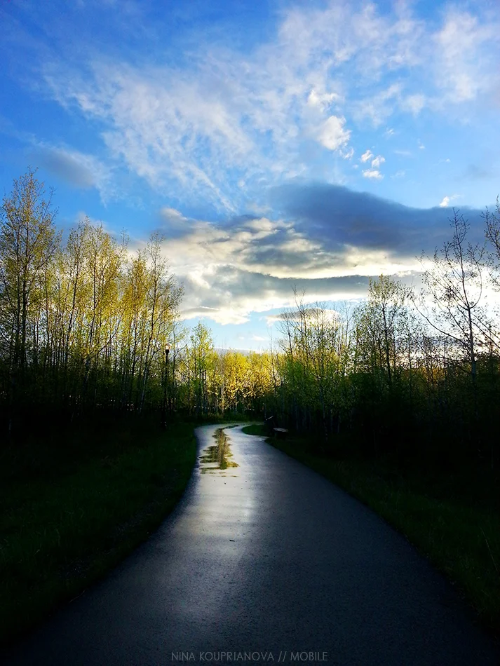 20140509_201917 950 px url.jpg
