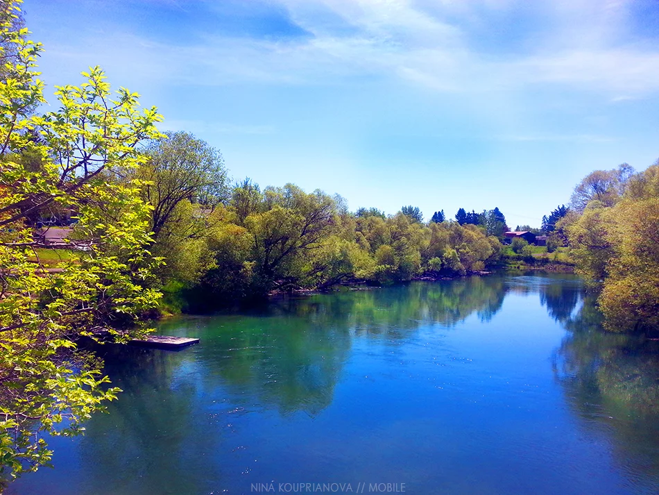 20140521_110937 950 px url.jpg