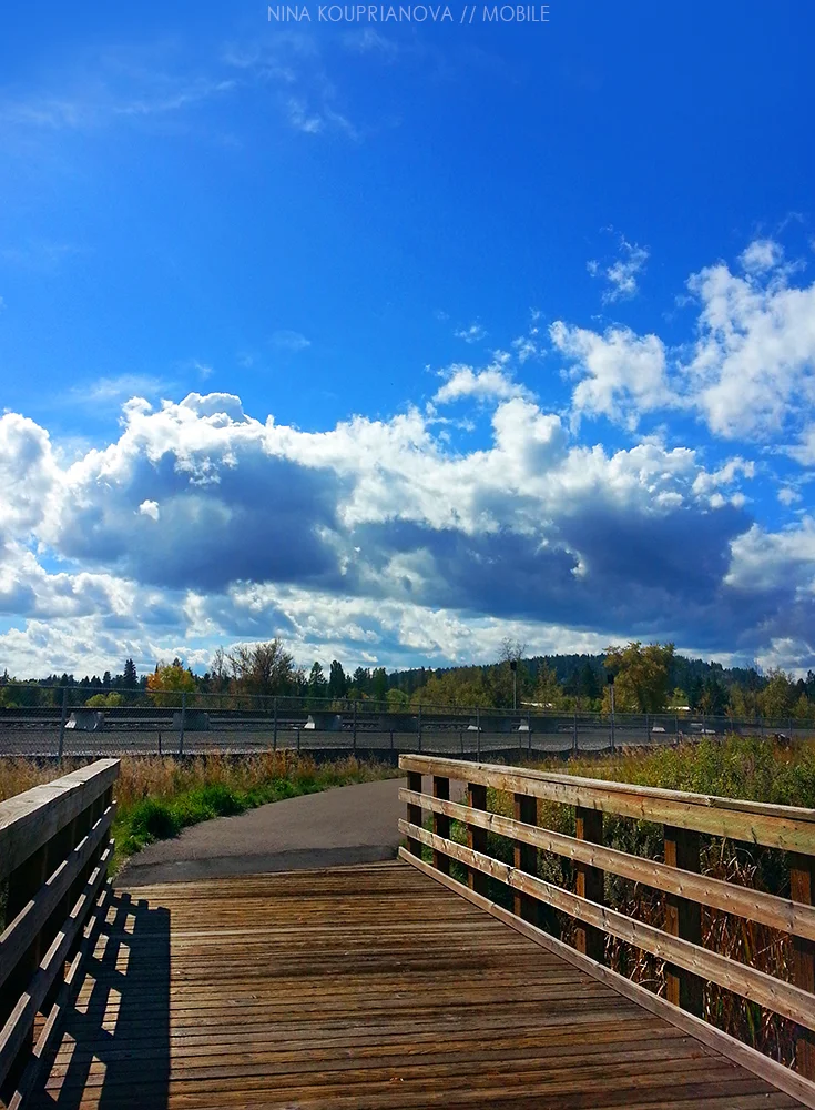 autumn bridge 1000 px.jpg