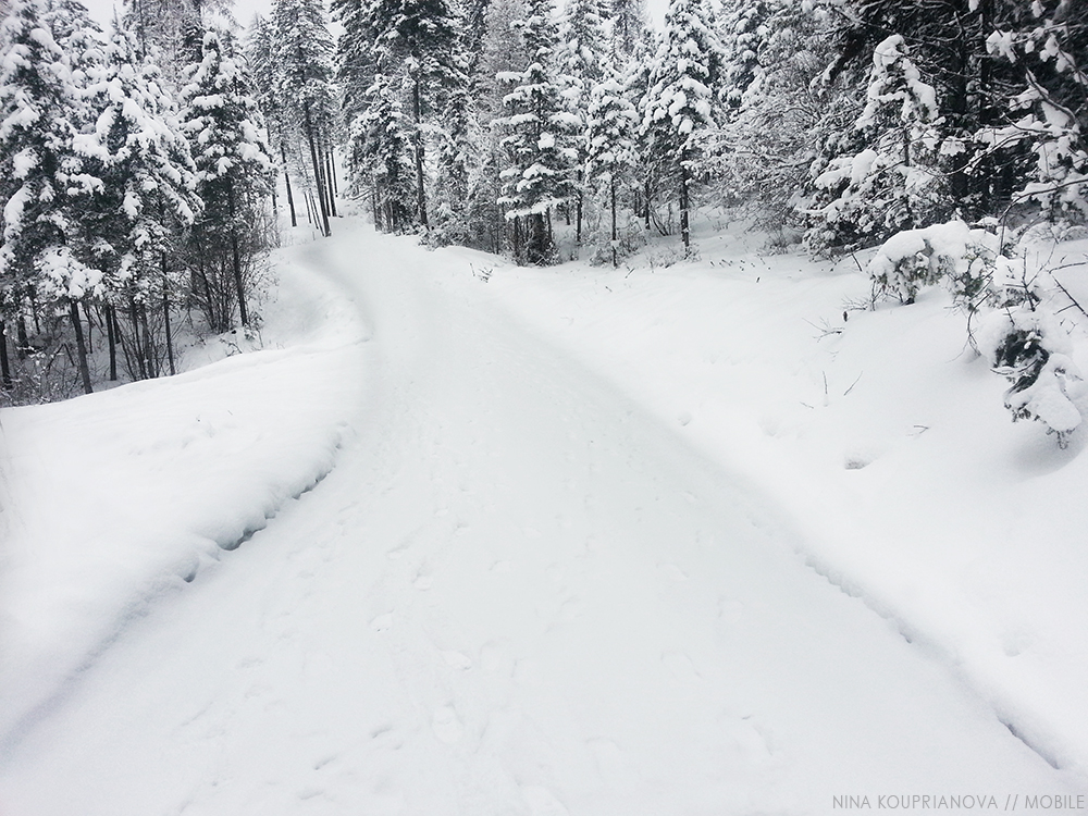 black and white winter 3 1000 px.jpg