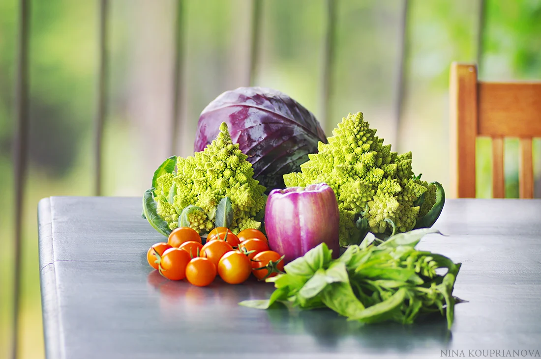 farm share 1100 px.jpg