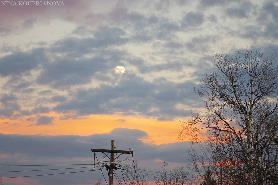 moon nov 23 1100 px.jpg