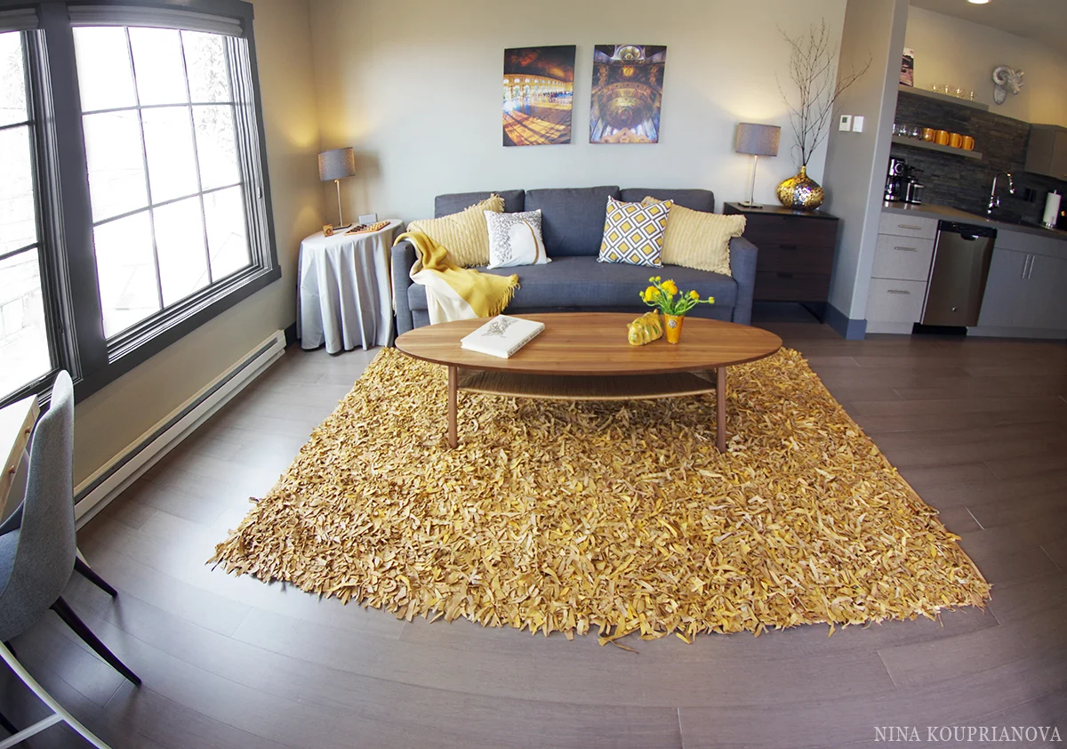 unit D livingroom 2 1200 nk.jpg